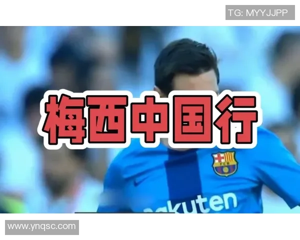 足球明星直升飞机事故揭秘背后的真相与影响分析