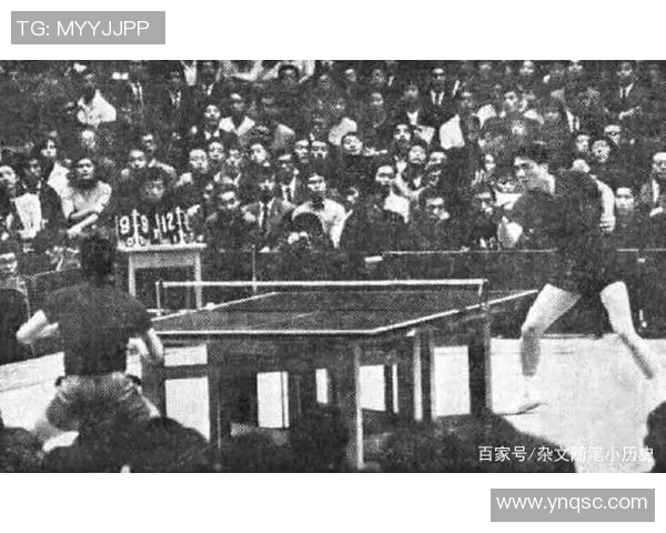 周静独家分享乒乓球技巧与心得助你提升球技的秘密秘籍