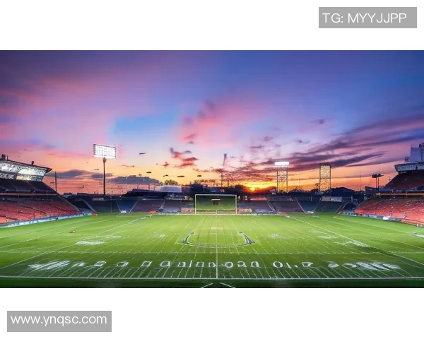 足球明星D席的精彩瞬间壁纸分享尽显球场魅力与风采