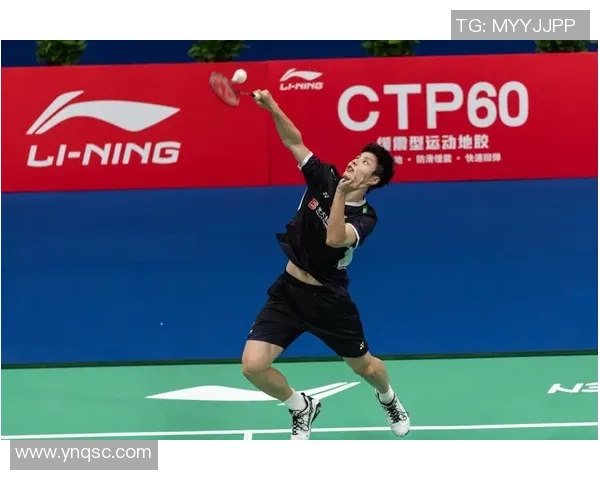 深圳羽毛球队的转型之路与深度解析羽毛球运动的未来发展